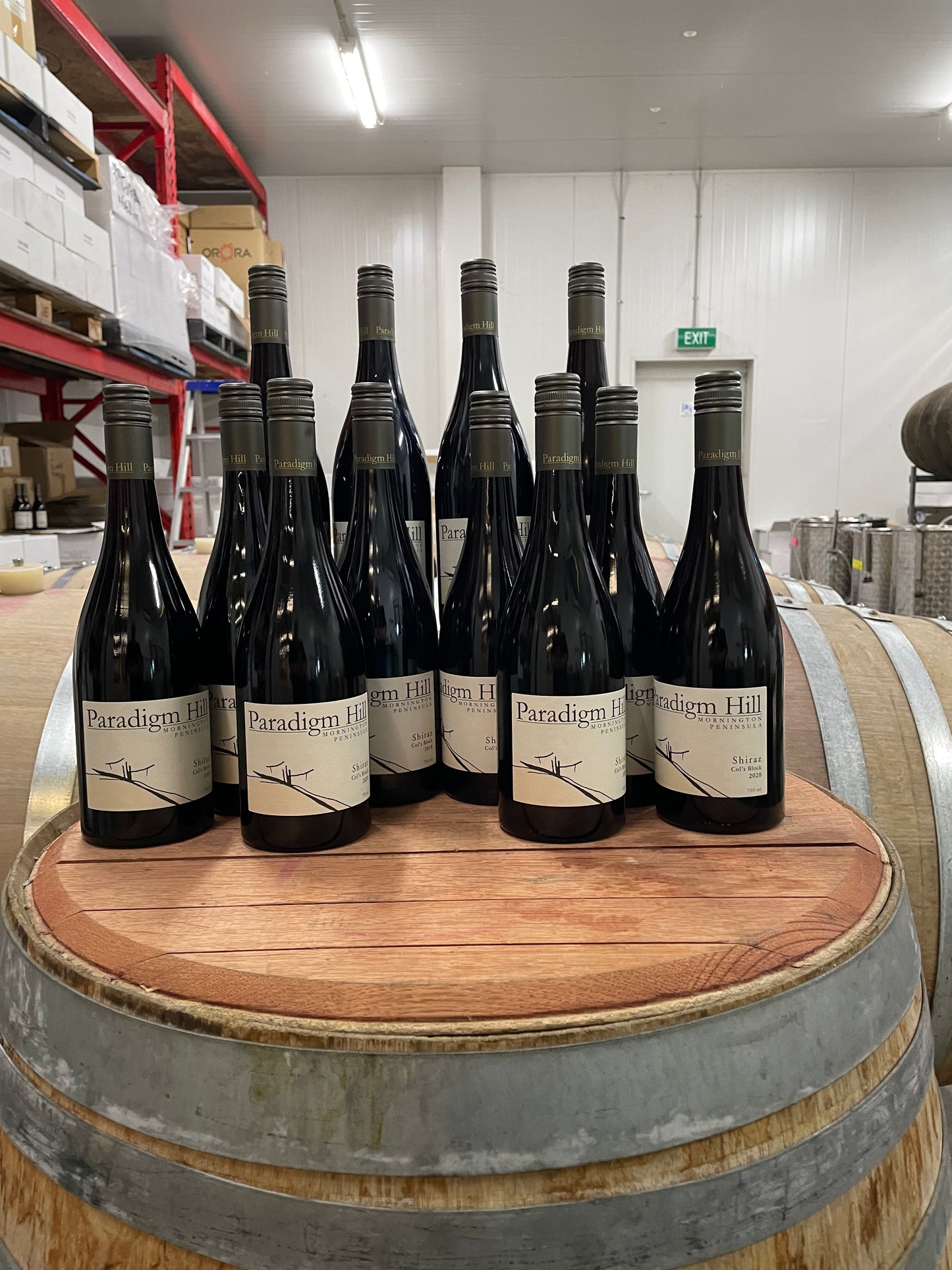 Celebrating Shiraz: Mixed dozen bottle vintage selection pack