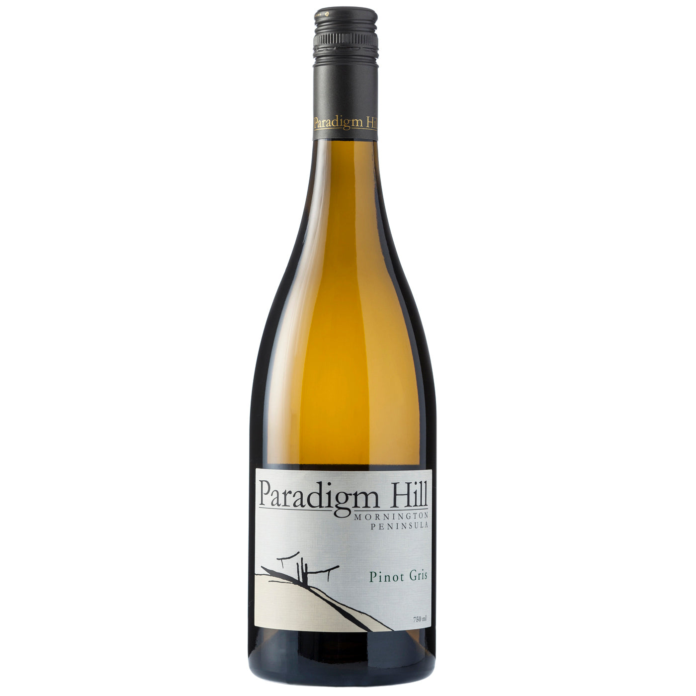 Pinot Gris 2025