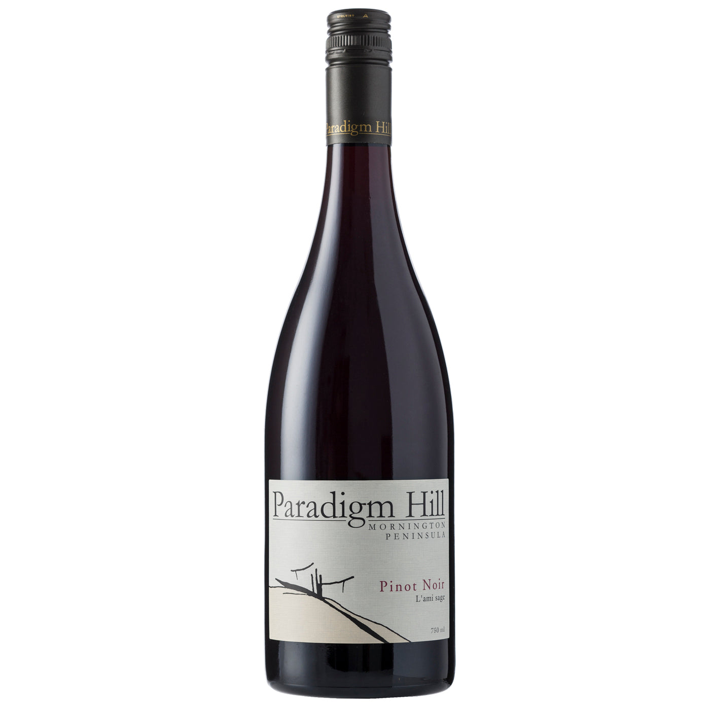 Pinot Noir L’ami sage 2022