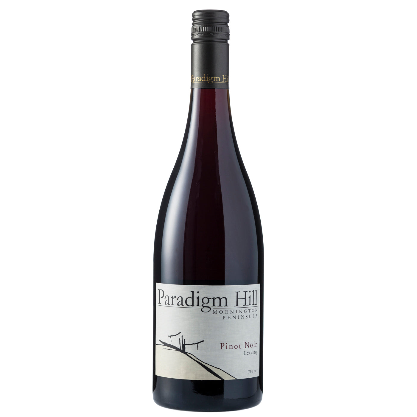 Pinot Noir Les cinq 2021